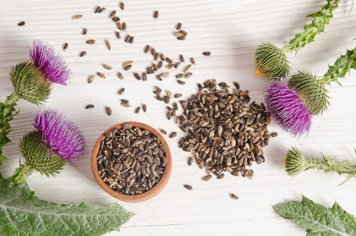 Overhead view of raw Milk Thistle seeds in a wooden bowl surrounded by purple Milk Thistle flowers on a white surface.